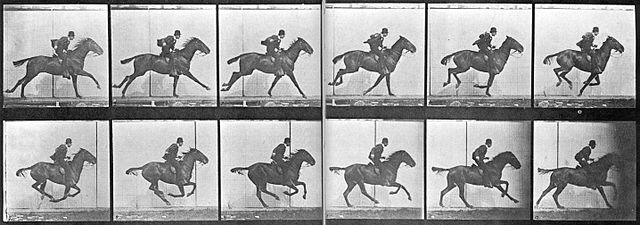 secuencia-Eadweard Muybridge-caballo-galope